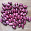 红豆 5斤 | 仿野生种植，自留老品种，比一般的红豆个头大一些 //  张志富 商品缩略图1