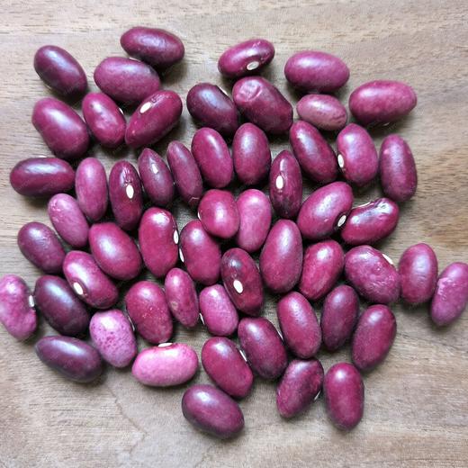 红豆 5斤 | 仿野生种植，自留老品种，比一般的红豆个头大一些 //  张志富 商品图1