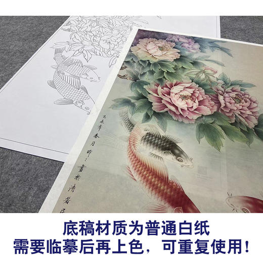 【大彩图】郑玲玲工笔画白描底稿《花开富贵喜迎春》牡丹鲤鱼临摹勾线花鸟线稿ZLA3 商品图3