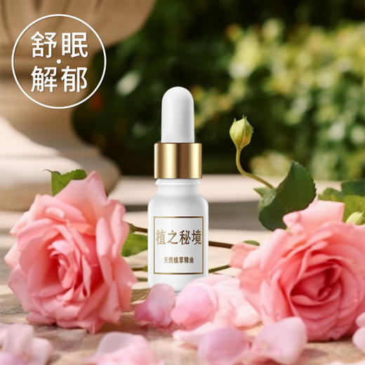 植之秘境香氛蜡烛/精油/线香 治愈感+仪式感拉满 品质香薰产品上新 给你的生活添点香和放松 商品图3