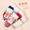 【2双】冬季加厚珊瑚绒圣诞袜子婴幼儿小童宝宝睡眠袜子袜套羊羔绒地板袜 商品缩略图1