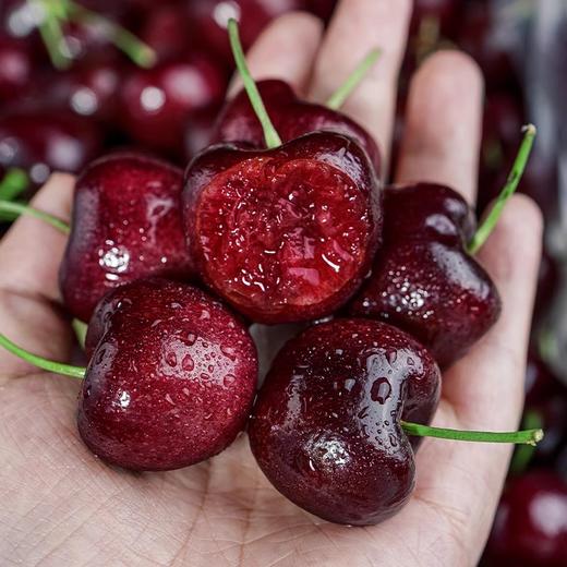 【单J】进口车厘子  500g/份（鲜脆多汁 香甜爽口） 商品图1