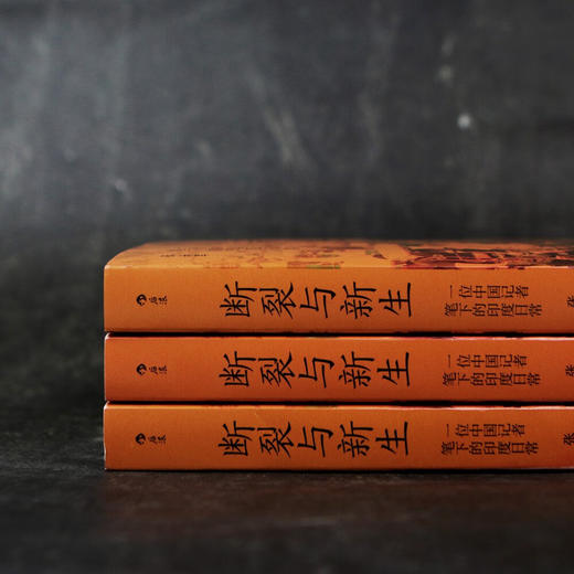 断裂与新生  新华社记者亲历观察印度，破除误解和刻板印象，还原一个客观真实的现代印度 商品图3