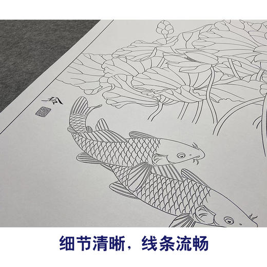 【大彩图】郑玲玲工笔画白描底稿《荷塘鱼乐图》荷花鲤鱼临摹勾线花鸟线稿ZLA2 商品图4