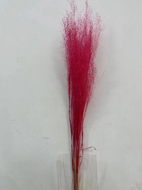 永生花材 | 粉黛乱子草浅红色