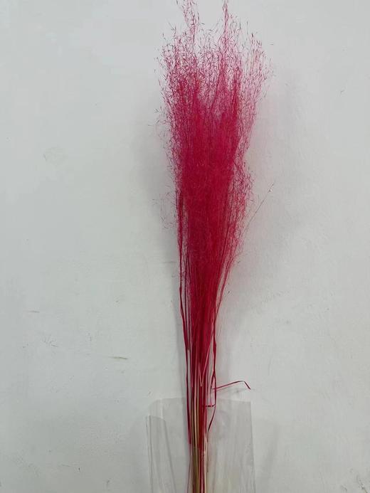 永生花材 | 粉黛乱子草浅红色 商品图0