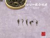 【村姑陈推荐】阔别5年，那款香似雪海的一级白牡丹，《鹊桥仙》的前身，时而清郁，时而雅致，时而浓艳 商品缩略图3