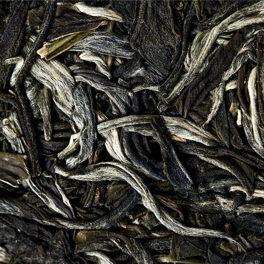 活动即将结束！【积分兑换】王侯将相【曹丞相：曹操】2023年头春一芽一叶古树茶易武拼配普洱茶生茶357克*5饼 商品图10