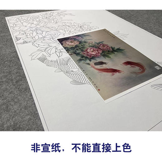 【大彩图】郑玲玲工笔画白描底稿《花开富贵喜迎春》牡丹鲤鱼临摹勾线花鸟线稿ZLA3 商品图2