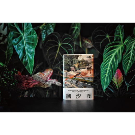 潮汐图 林棹 著 商品图7