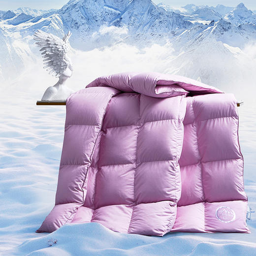 梦洁   被芯95%东方雪鹅鹅绒四季被：登封1956 商品图3