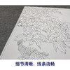 【大彩图】郑玲玲工笔画白描底稿《花开富贵喜迎春》牡丹鲤鱼临摹勾线花鸟线稿ZLA3 商品缩略图4