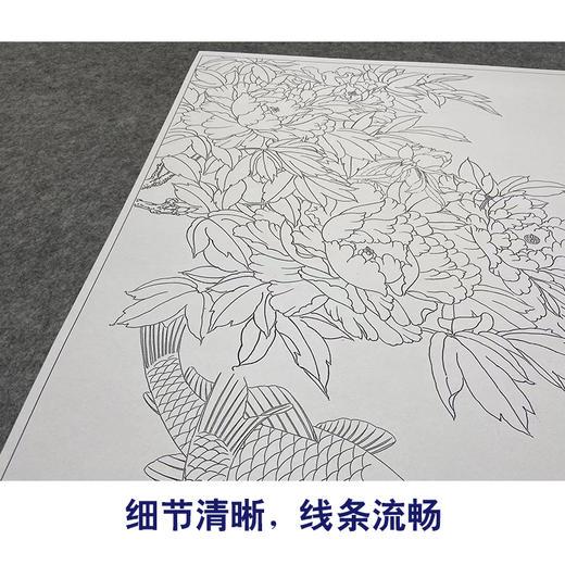【大彩图】郑玲玲工笔画白描底稿《花开富贵喜迎春》牡丹鲤鱼临摹勾线花鸟线稿ZLA3 商品图4
