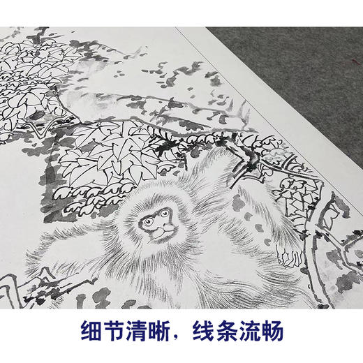 【大彩图】田世光工笔画白描底稿《小猴》临摹勾线高清打印稿SG58 商品图4