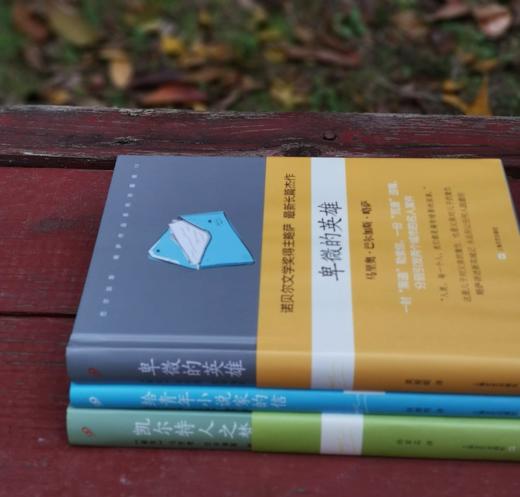 略萨绝版三种：《凯尔特人之梦》《卑微的英雄》《给青年小说家的信》，精装，秘鲁 略萨著，上海文艺出版社2016年一版一印，三册定价：166元，售价58元。 商品图1