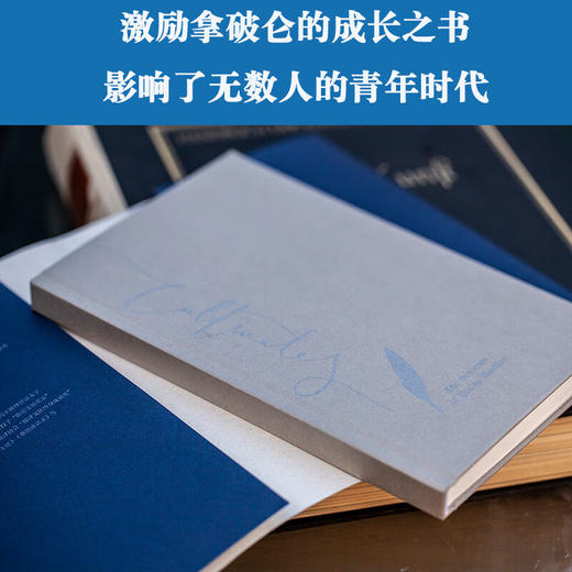 少年维特之烦恼 商品图4