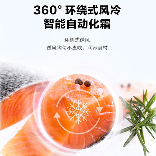 海尔（Haier）冰箱 BCD-510WGHFD59WVU1 商品图6