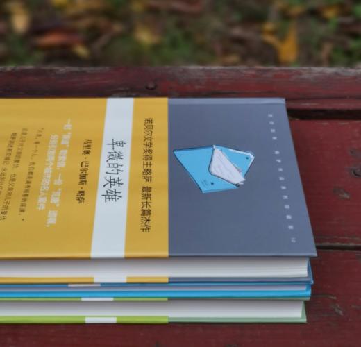 略萨绝版三种：《凯尔特人之梦》《卑微的英雄》《给青年小说家的信》，精装，秘鲁 略萨著，上海文艺出版社2016年一版一印，三册定价：166元，售价58元。 商品图3