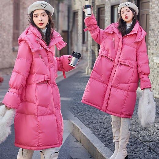 冬季新款，时尚连帽休闲长款白鸭绒羽绒服外套HR-CZJ3389 商品图3