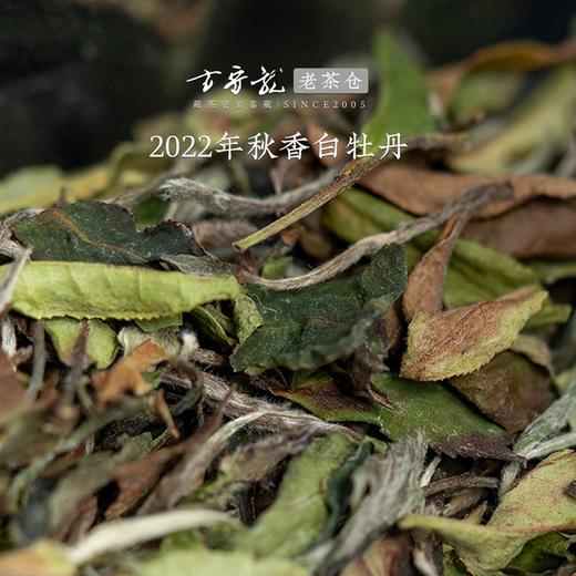 方守龙 2022年秋香白牡丹 福鼎白茶标杆之作 藏茶密室宝之 商品图1