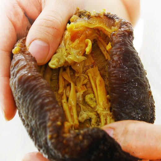 【加拿大野生北极参】自然生长 营养丰富 商品图4