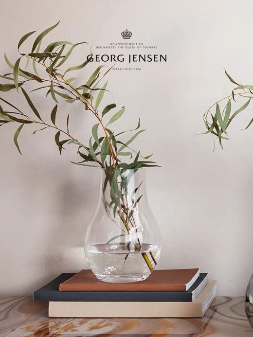 Georg Jensen乔治杰生透明玻璃花瓶客厅桌面插花水养摆件乔迁礼物 商品图1