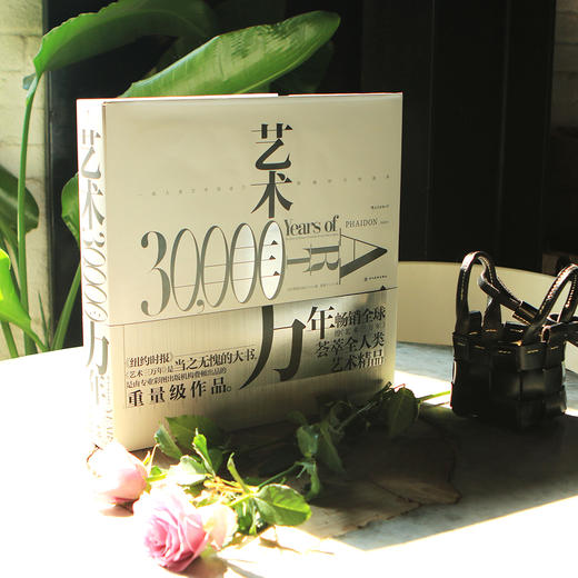 艺术三万年：一部人类艺术创造力跨越时空的故事 商品图3