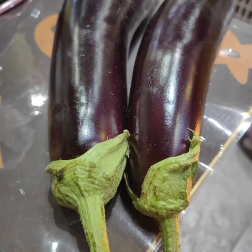长茄子 商品图0