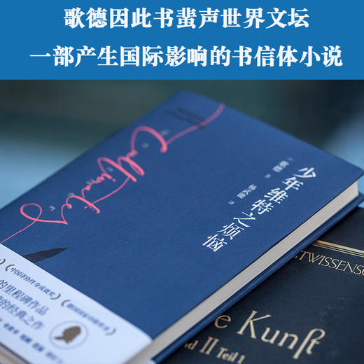 少年维特之烦恼 商品图5