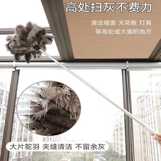 静电真鸵鸟毛掸子家用除尘不掉毛车用清洁扫灰加厚鸡毛掸打扫卫生 商品图5