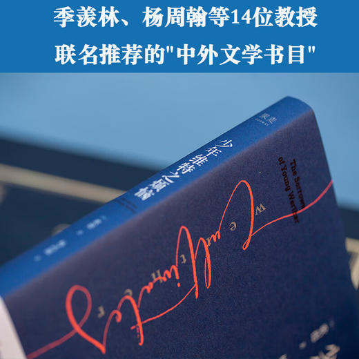 少年维特之烦恼 商品图3