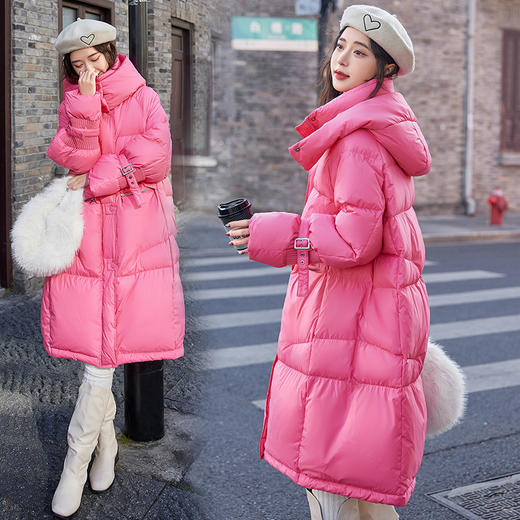 冬季新款，时尚连帽休闲长款白鸭绒羽绒服外套HR-CZJ3389 商品图0