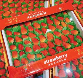 丹东草莓2斤装约60枚  |水果