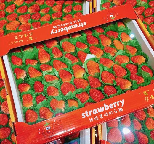 丹东草莓2斤装约60枚  |水果 商品图0