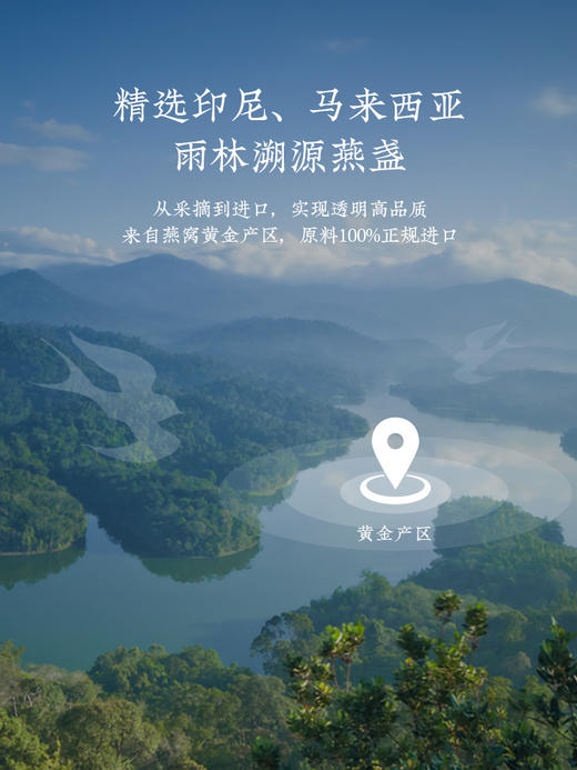 【汇总SKU】Amalee艾玛琳鲜炖燕 窝即食燕窝 孕妇产妇老人营养滋补品礼盒装 木糖醇 冰糖燕窝 商品图8