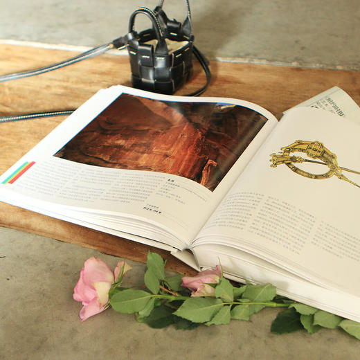 艺术三万年：一部人类艺术创造力跨越时空的故事 商品图6