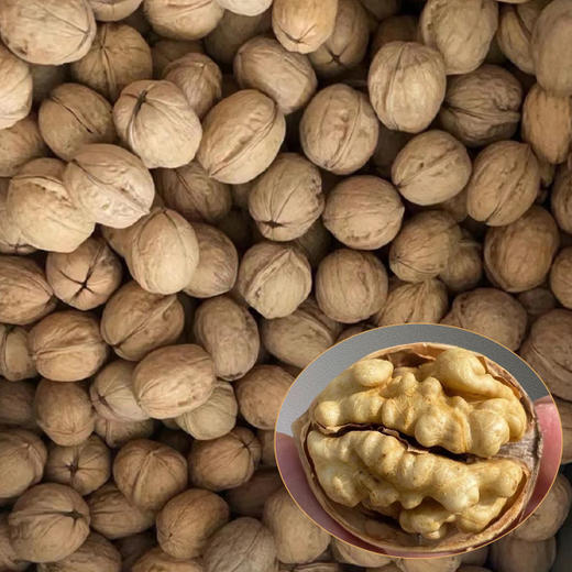 侬疆情新疆一级纸皮核桃500g 商品图3