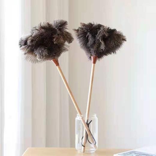 静电真鸵鸟毛掸子家用除尘不掉毛车用清洁扫灰加厚鸡毛掸打扫卫生 商品图8