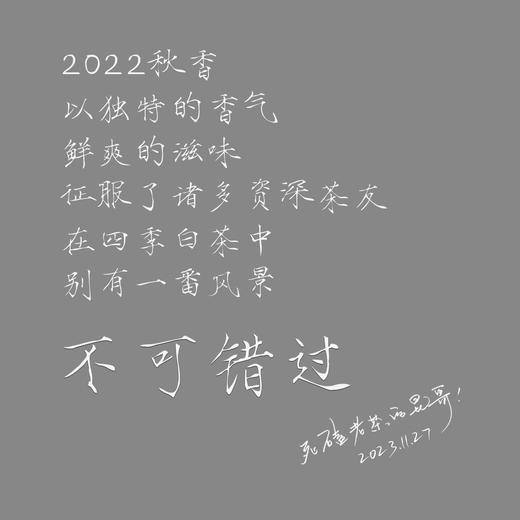 方守龙 2022年秋香白牡丹 福鼎白茶标杆之作 藏茶密室宝之 商品图5