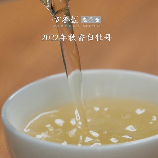 方守龙 2022年秋香白牡丹 福鼎白茶标杆之作 藏茶密室宝之 商品图2