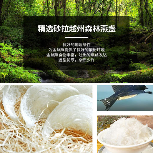 【汇总SKU】Amalee艾玛琳鲜炖燕 窝即食燕窝 孕妇产妇老人营养滋补品礼盒装 木糖醇 冰糖燕窝 商品图12