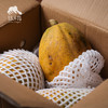 生态木瓜   | 合作生产 * Ecological  Papaya | Coproducted 商品缩略图3