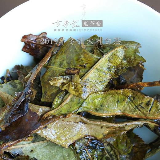 方守龙2019年冬甜大叶冬茶  福鼎白茶标杆之作 藏茶密室宝之 商品图3