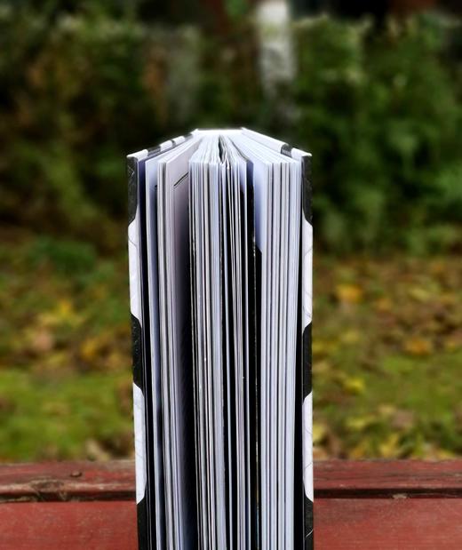 《凡尔赛宫》，精装，16开 [法]桑德里娜·罗森伯格著，北京联合出版有限公司2023年11月一版一印，316页，定价258，售价129元。 商品图2