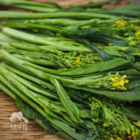 生态迟菜心 | 绿家自产 * Eco-choy sum | Self-production
