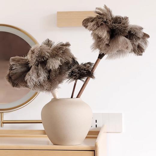 静电真鸵鸟毛掸子家用除尘不掉毛车用清洁扫灰加厚鸡毛掸打扫卫生 商品图0