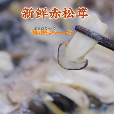 【果蔬精选】福建古田新鲜赤松茸 现采现发 舌尖上的醇鲜 又弹又滑润 食后余香满口 涮 炖 煲汤 煎炸炒都可以 商品图2
