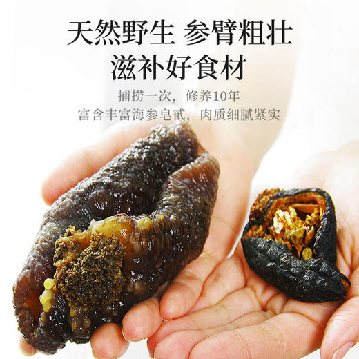 【加拿大野生北极参】自然生长 营养丰富 商品图3