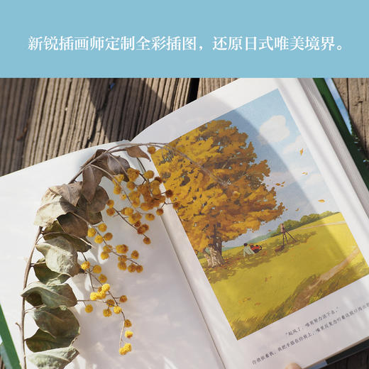 起风了 商品图3