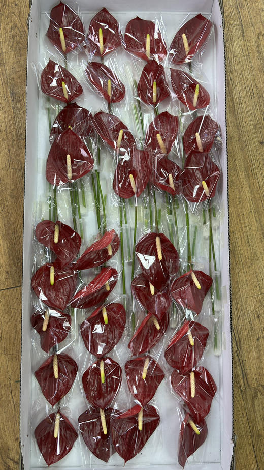 【绿光彩掌】音律  单枝 商品图6